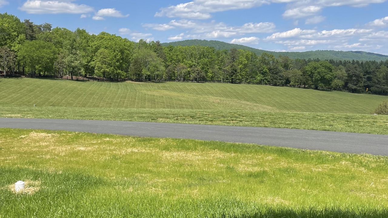 Photo of Outdoor in Charlottesville