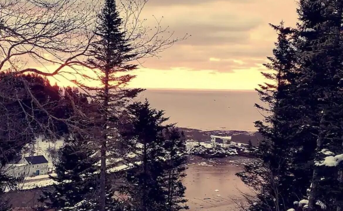 Photo of Others in St. Martins