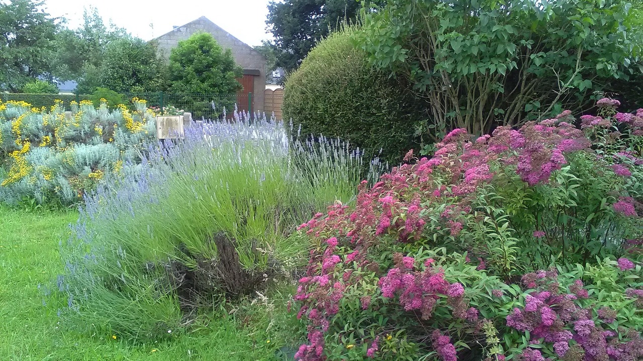 Photo of Outdoor in La Croix-Hellean