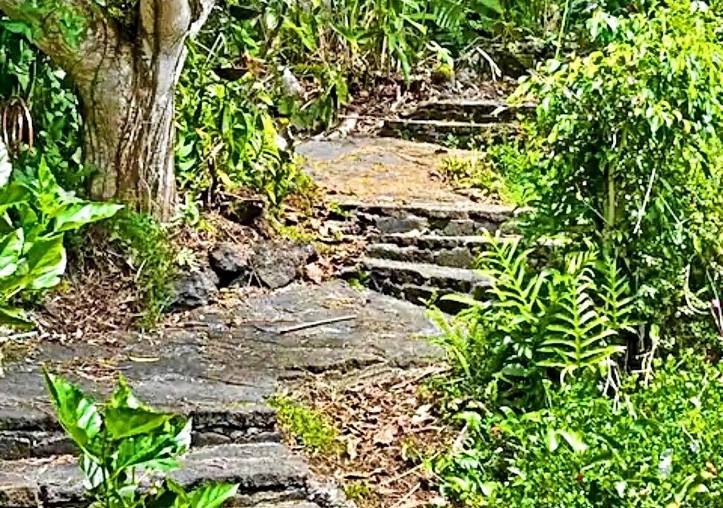 Photo of Outdoor in Holualoa