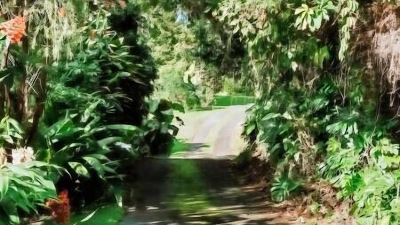 Photo of Others in Holualoa