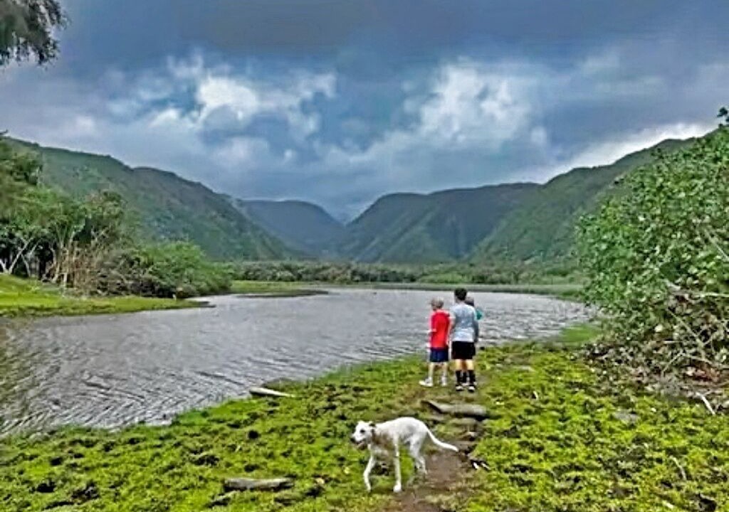 Photo of Others in Holualoa