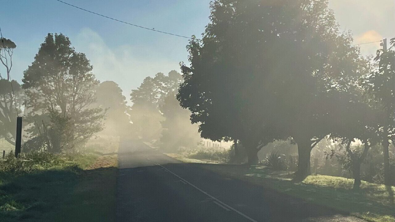 Photo of Others in Maleny