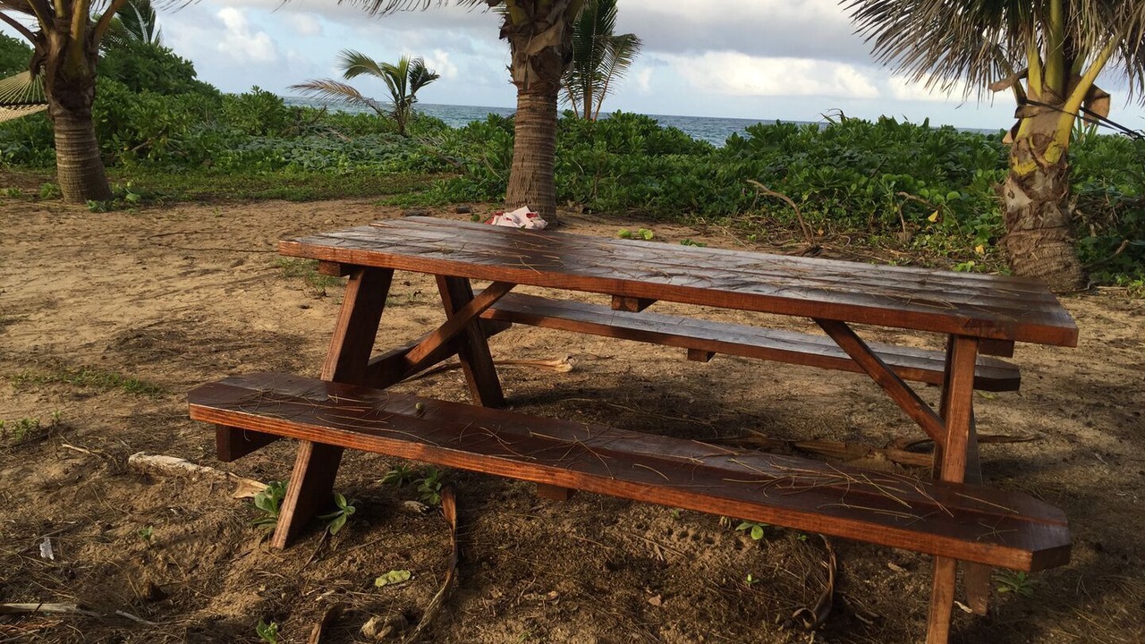 Photo of Others in Laie