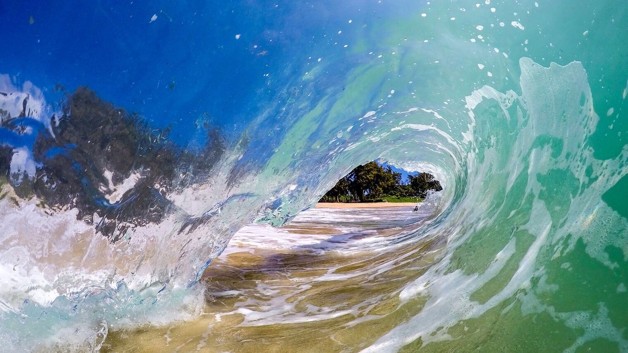 Photo of Others in Laie