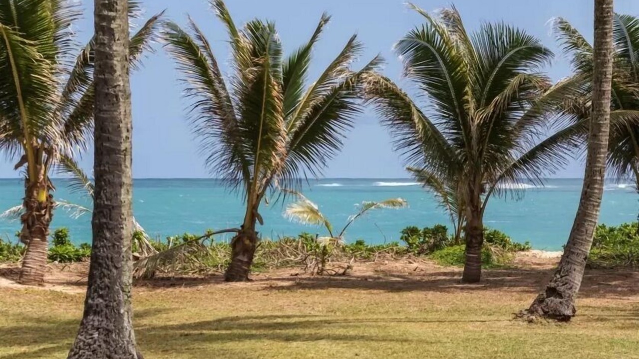 Photo of Others in Laie