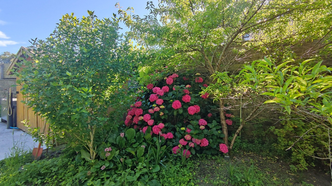 Photo of Outdoor in Ploneour-Lanvern