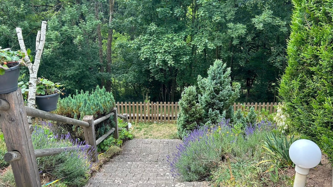 Photo of Outdoor in Colroy-la-Roche