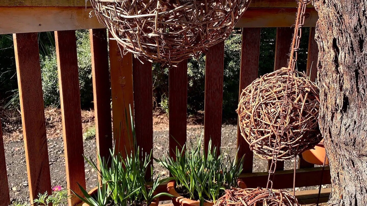 Photo of Outdoor in Inverloch