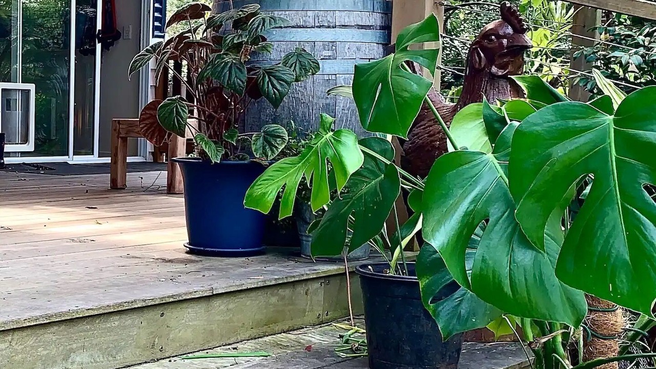 Photo of Outdoor in Inverloch