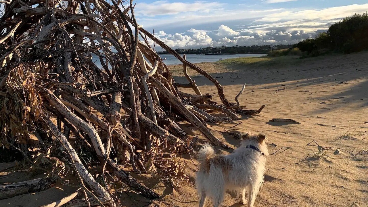 Photo of Others in Inverloch