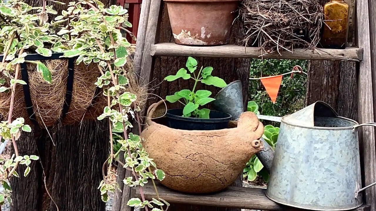 Photo of Outdoor in Inverloch