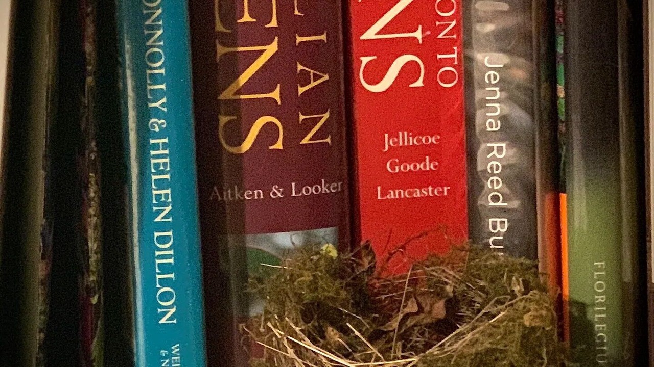 Photo of Others in Inverloch