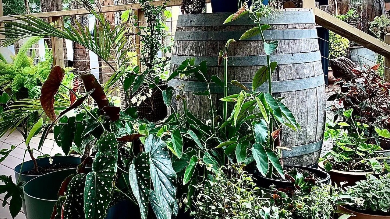 Photo of Outdoor in Inverloch