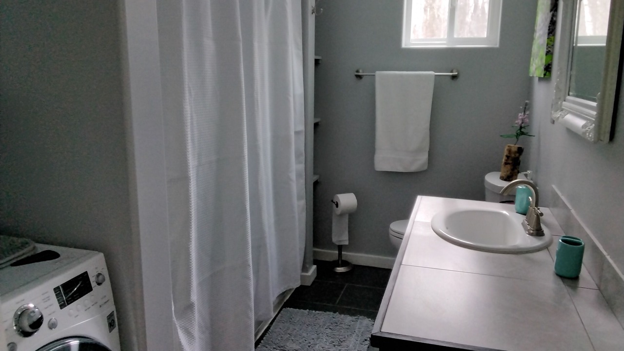 Photo of Bathroom in Susitna North