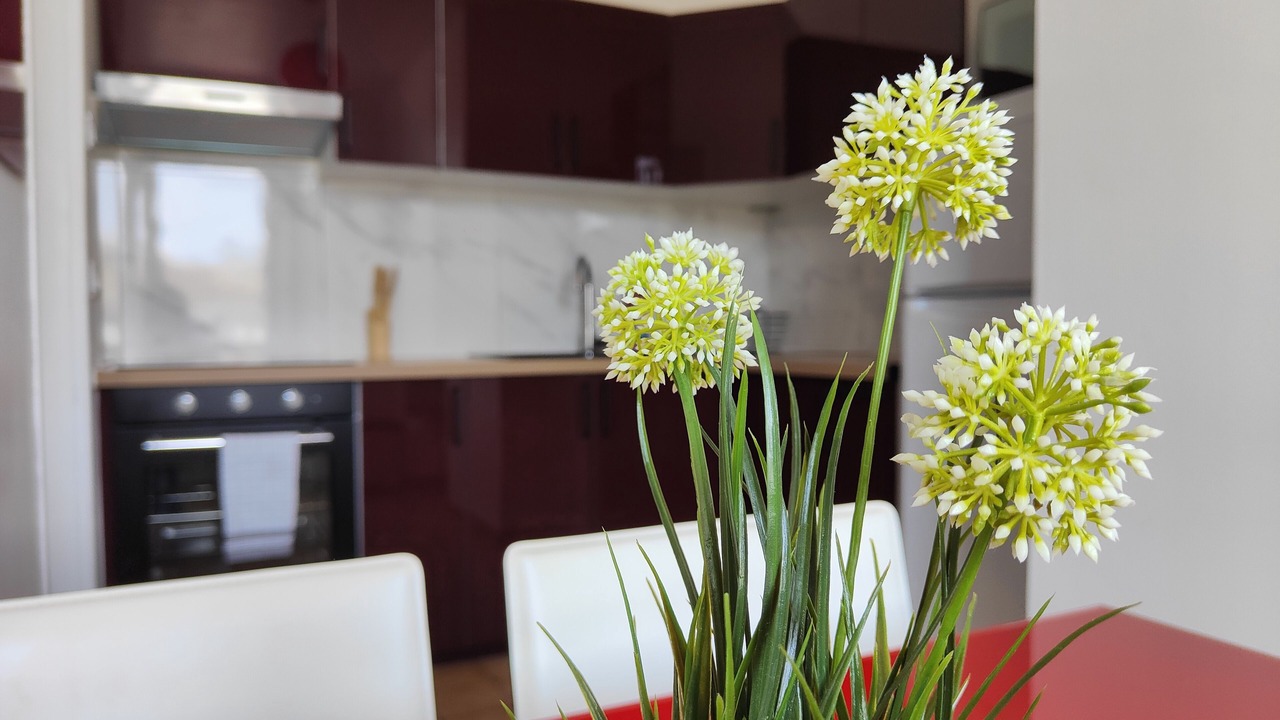 Photo of Others in Puttelange-aux-Lacs