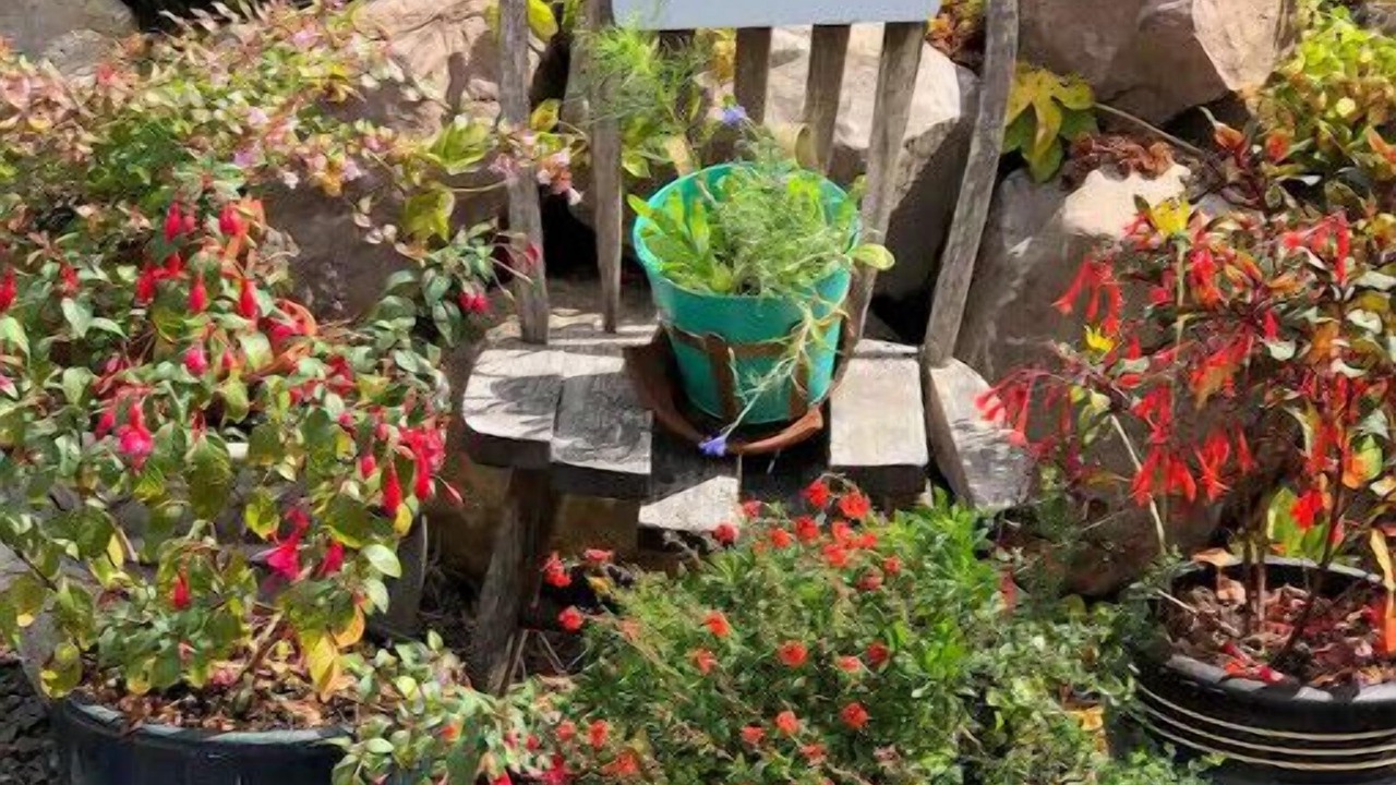 Photo of Outdoor in Sandy