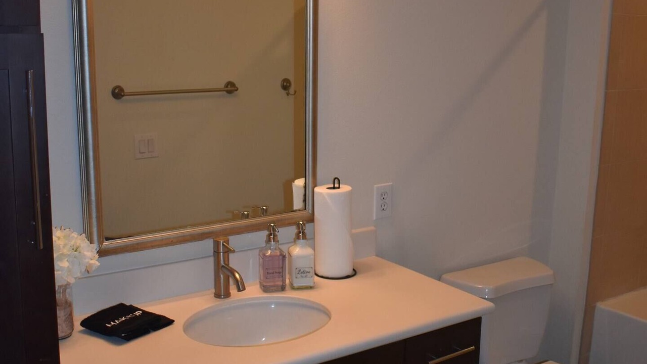 Photo of Bathroom in Texas Medical Center