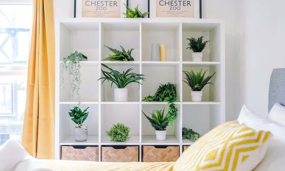 Photo of Others in Chester