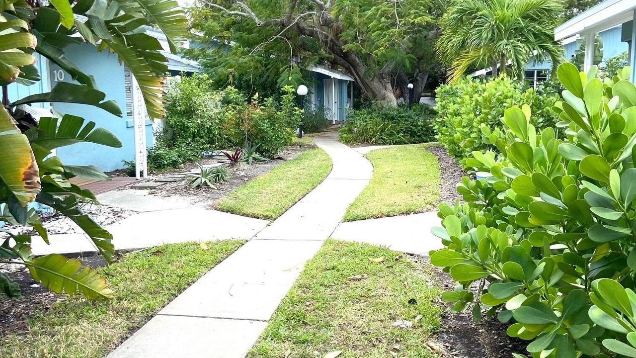 Photo of Outdoor in Sarasota