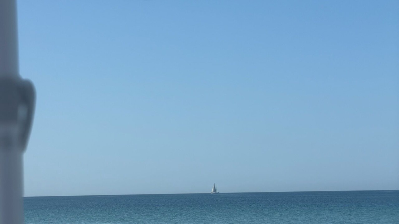 Photo of Others in Sarasota
