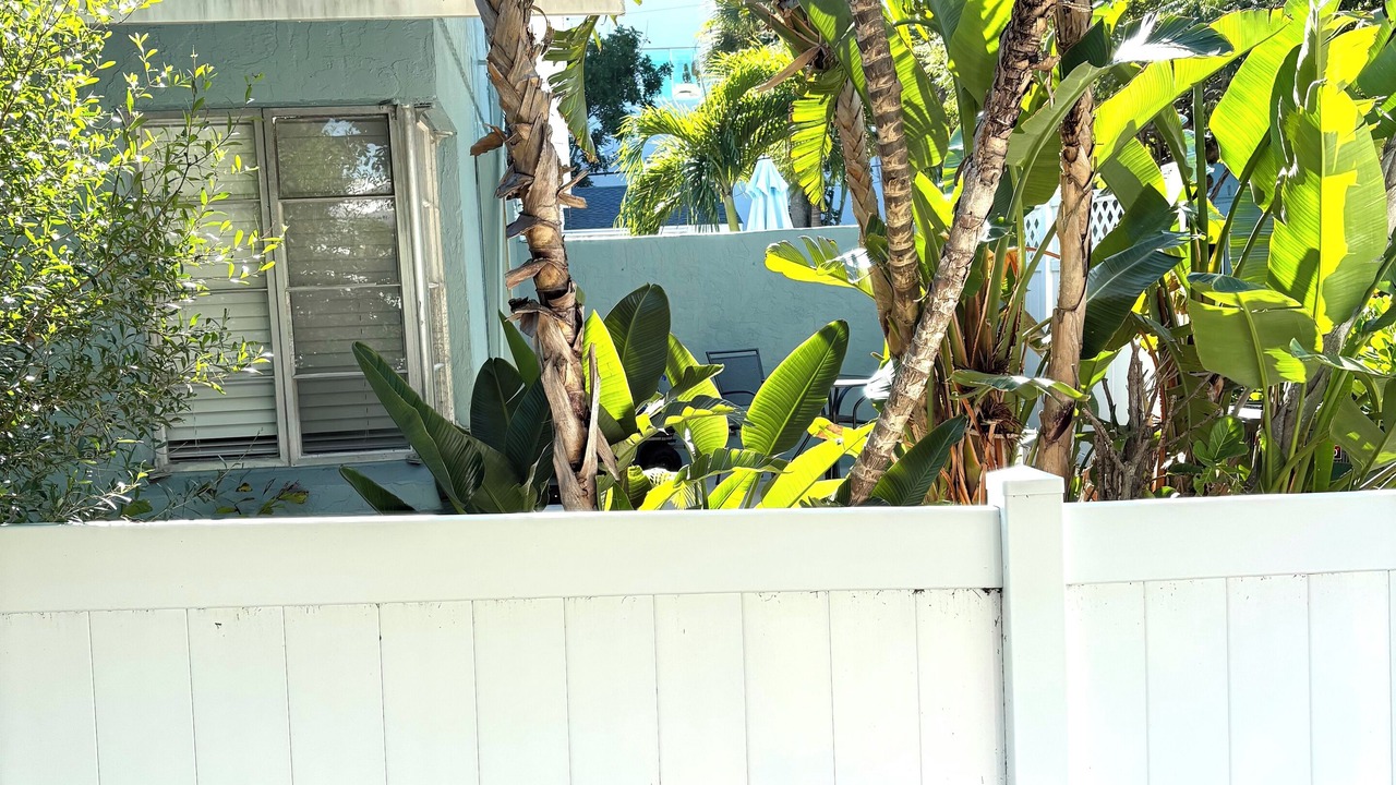 Photo of Outdoor in Sarasota