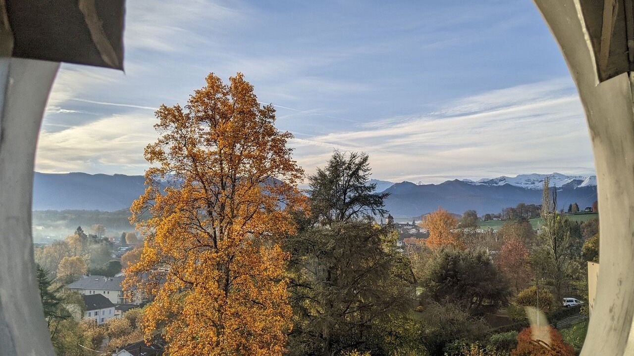 Photo of Others in Nay