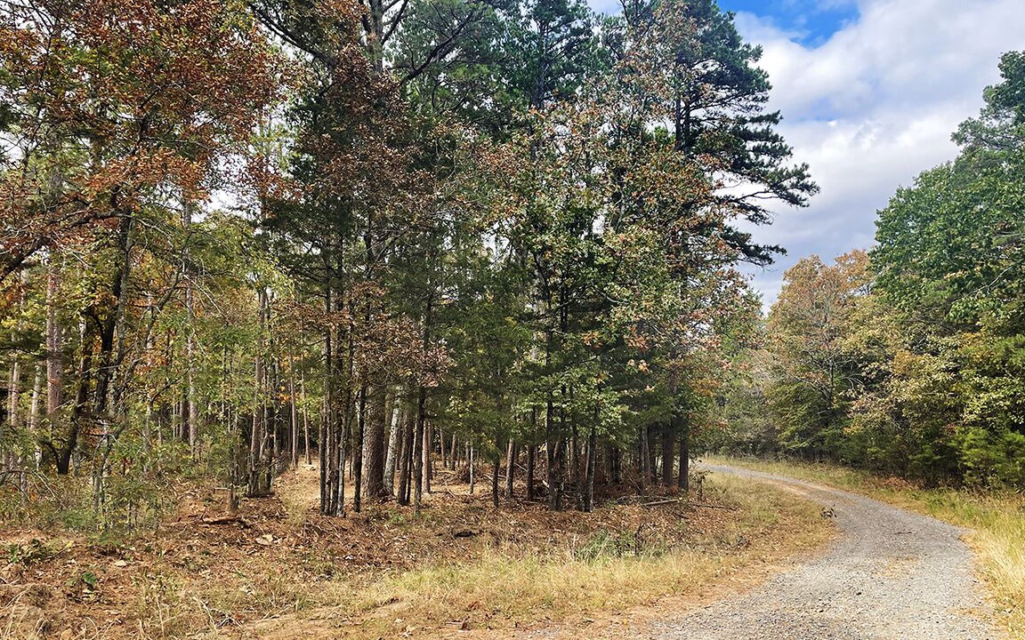 Photo of Outdoor in Clinton
