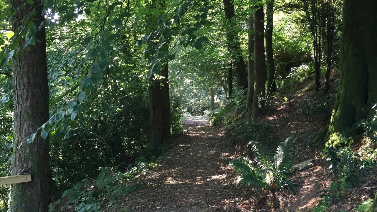 Photo of Outdoor in Barnstaple