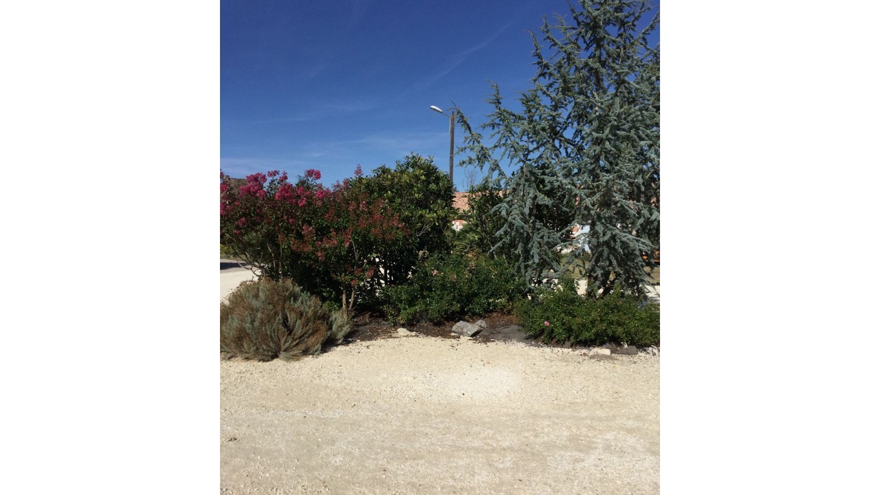 Photo of Outdoor in Echourgnac