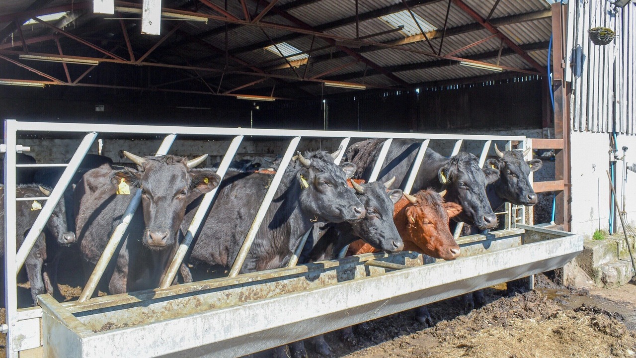 Photo of Others in Hoylandswaine