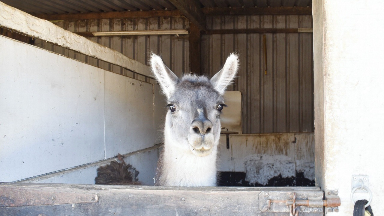 Photo of Others in Hoylandswaine