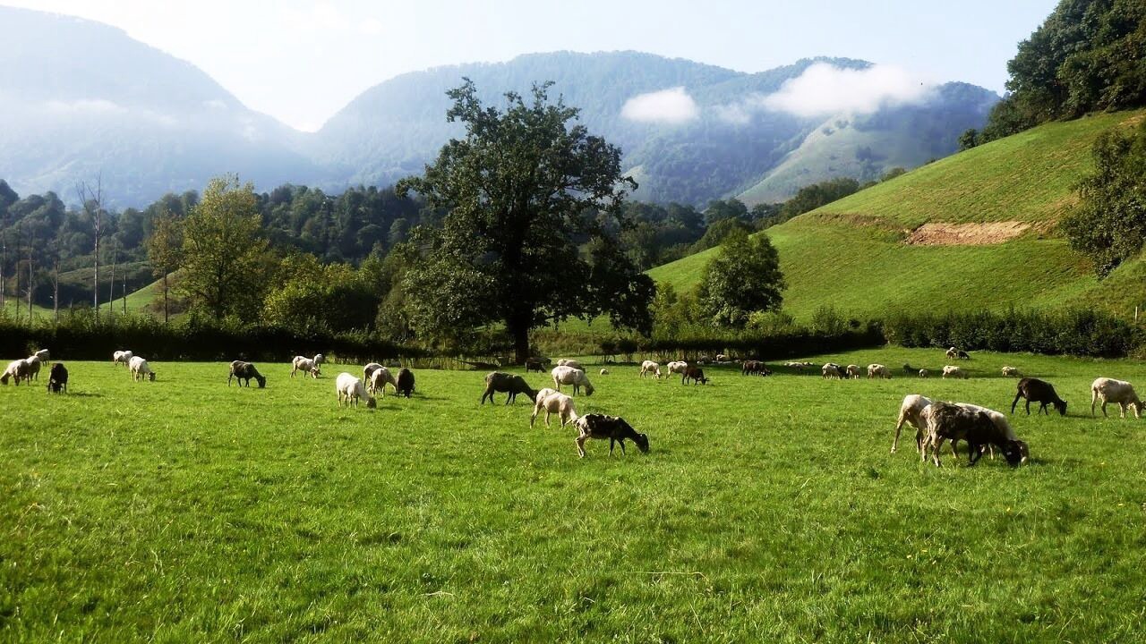 Photo of Others in Aramits