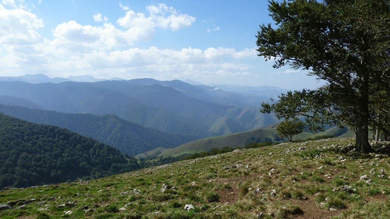 Photo of Others in Aramits