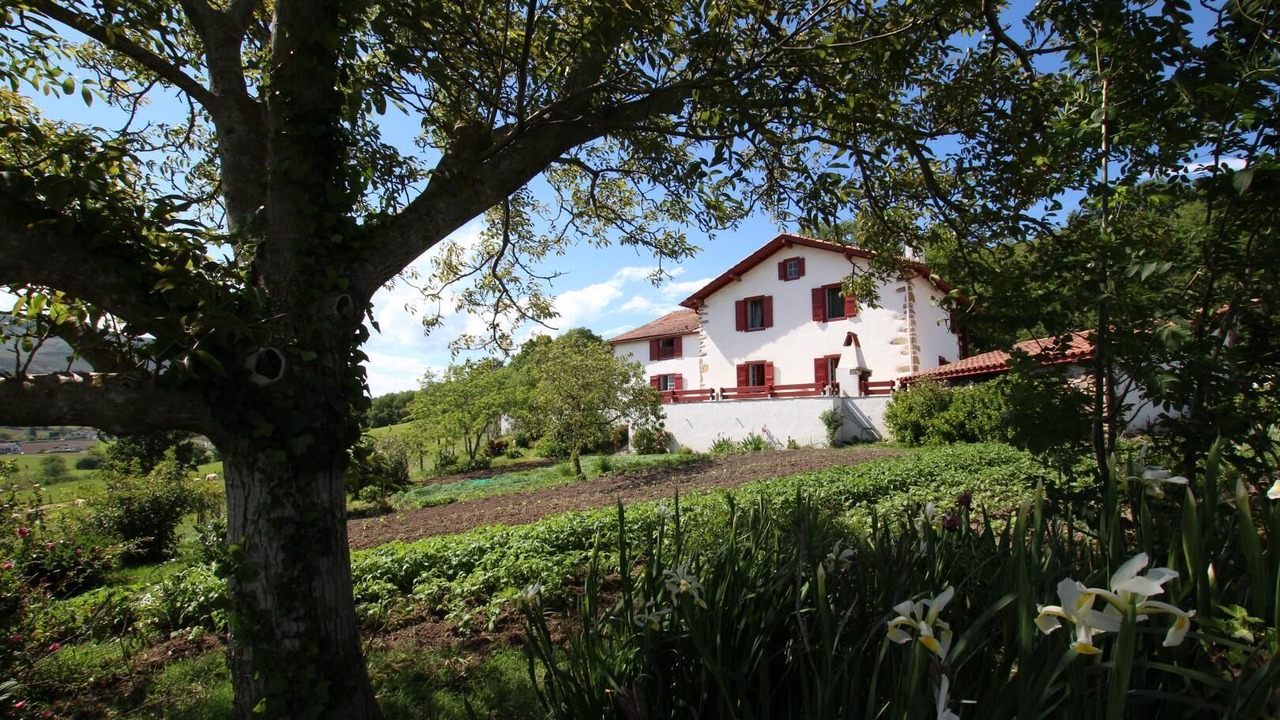 Photo of Outdoor in Sare