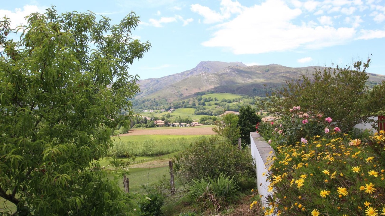 Photo of Outdoor in Sare