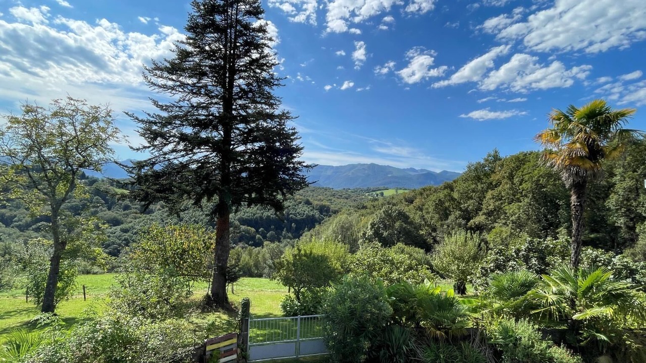 Photo of Outdoor in Lys