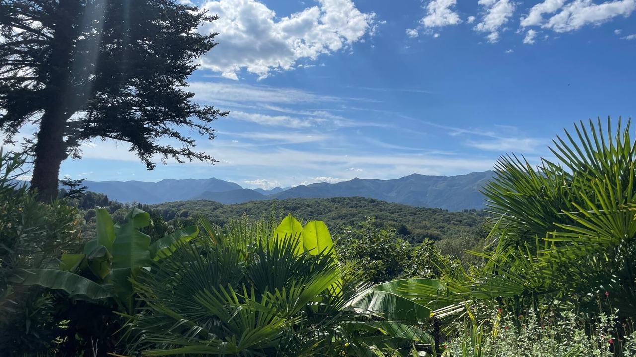 Photo of Outdoor in Lys