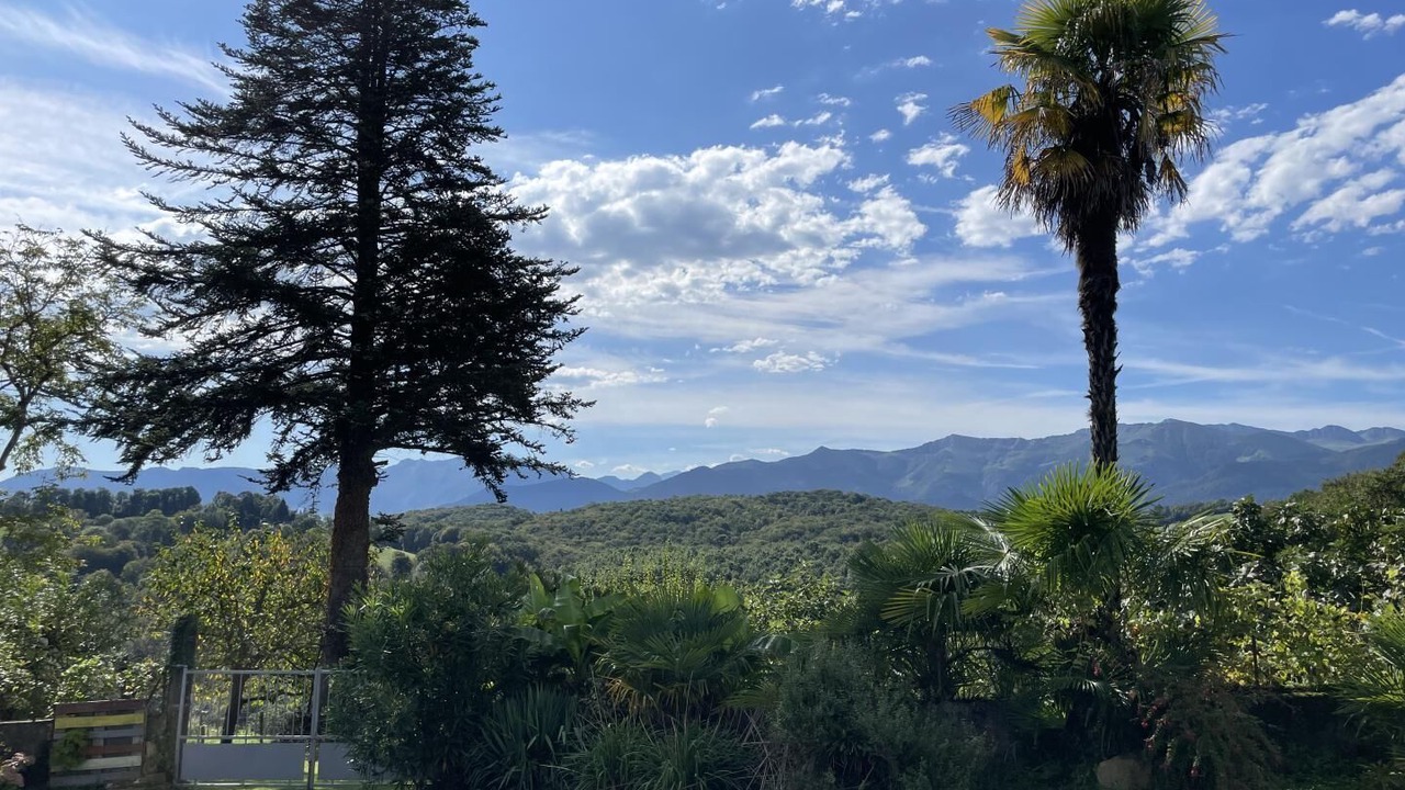 Photo of Outdoor in Lys