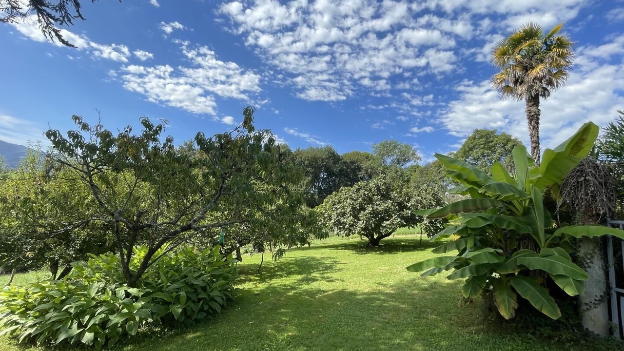 Photo of Outdoor in Lys