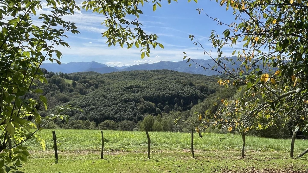 Photo of Others in Lys