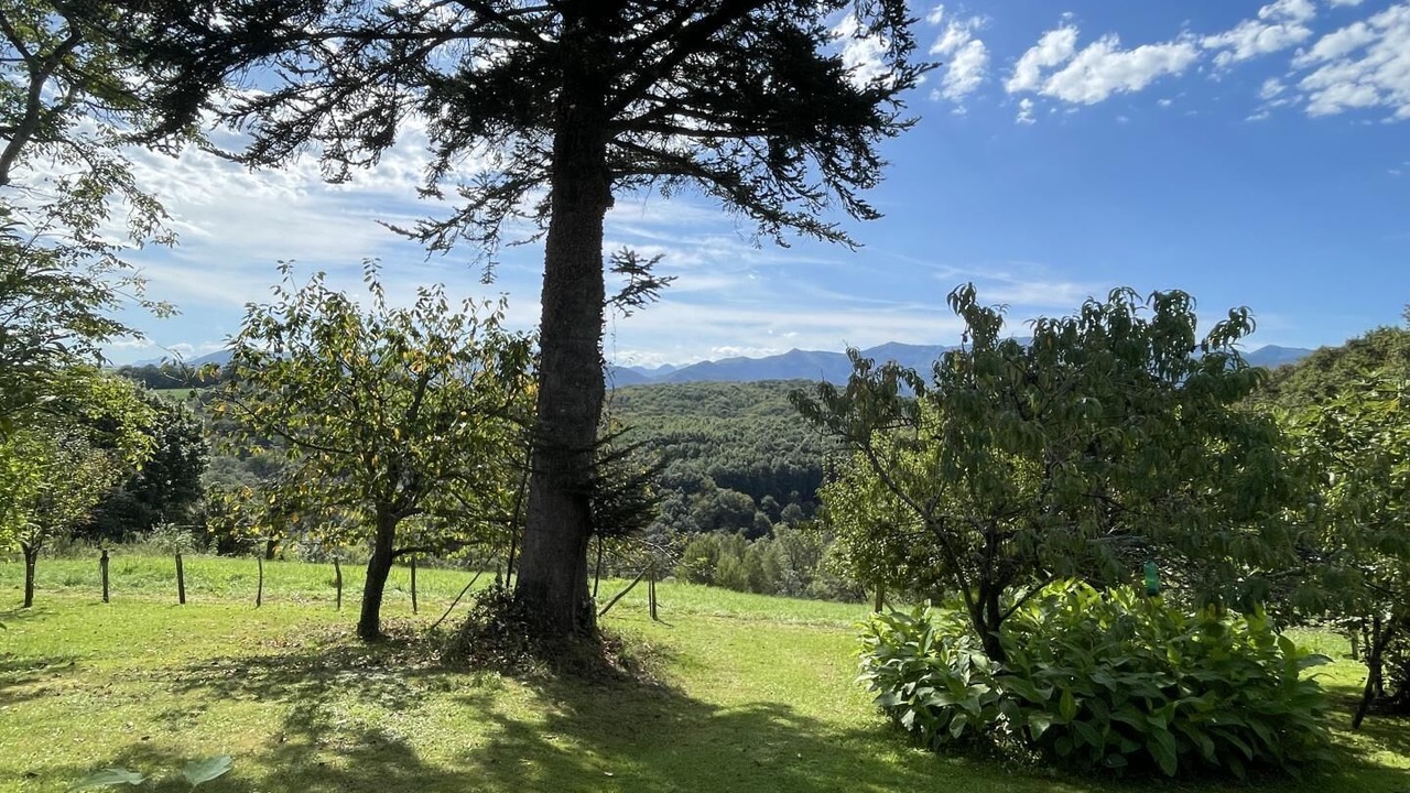 Photo of Outdoor in Lys