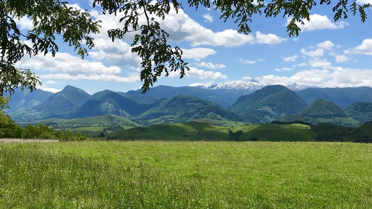 Photo of Others in Barcus