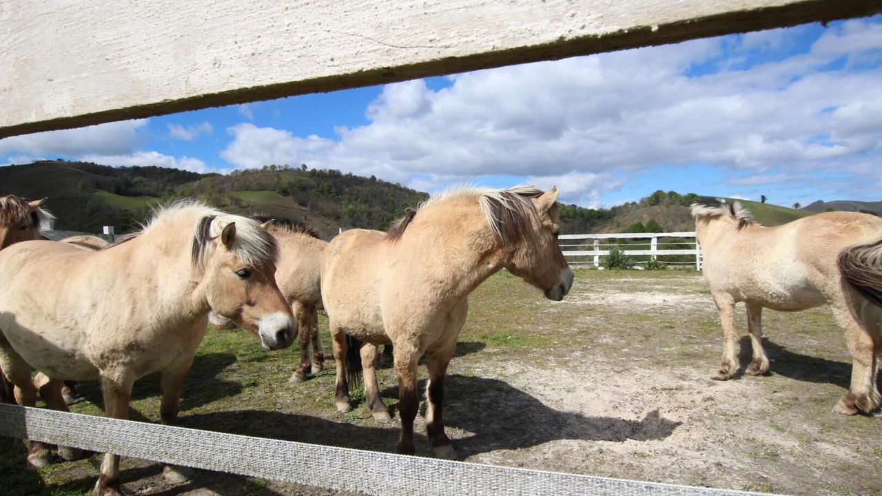 Photo of Outdoor in Barcus