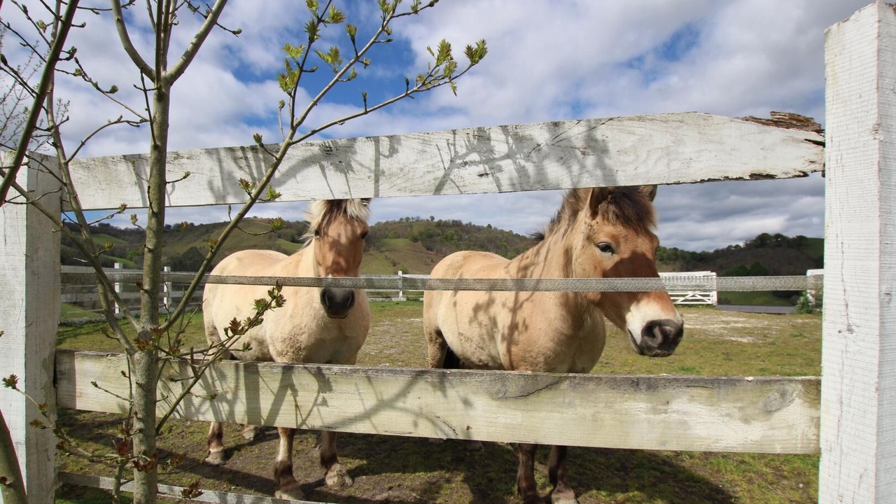 Photo of Outdoor in Barcus