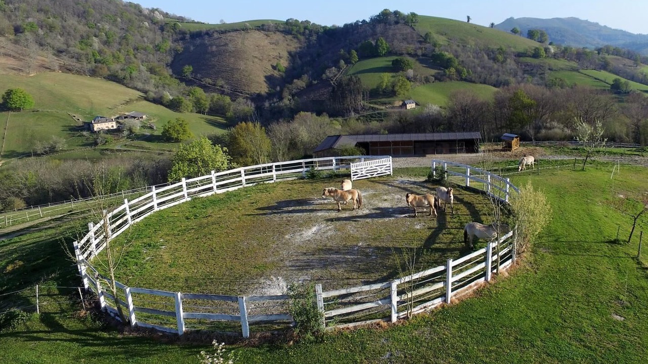 Photo of Outdoor in Barcus