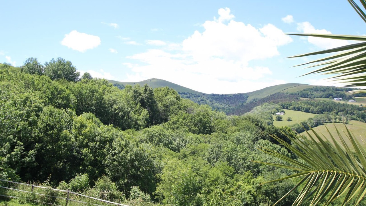 Photo of Others in Barcus