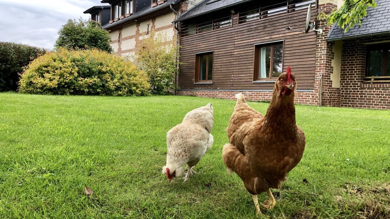 Photo of Outdoor in Quincampoix