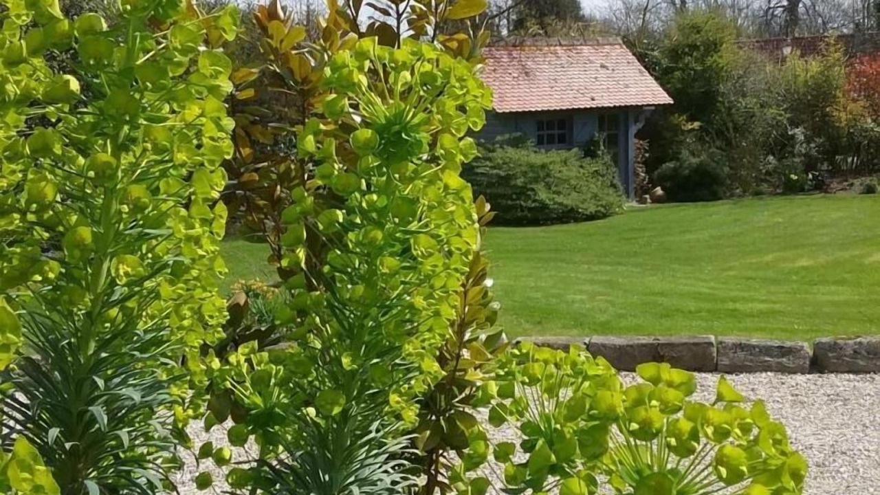 Photo of Outdoor in Brunville