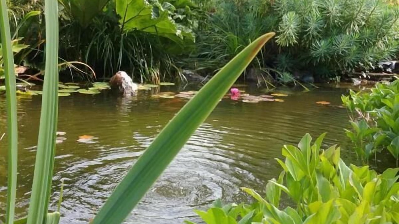 Photo of Outdoor in Brunville